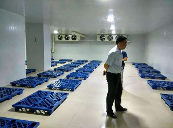 醫(yī)療器械第三方物流冷庫(kù)